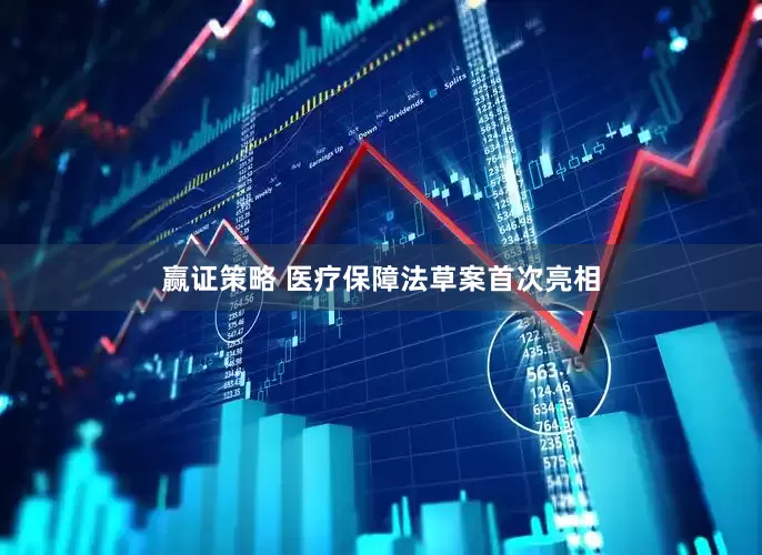 赢证策略 医疗保障法草案首次亮相