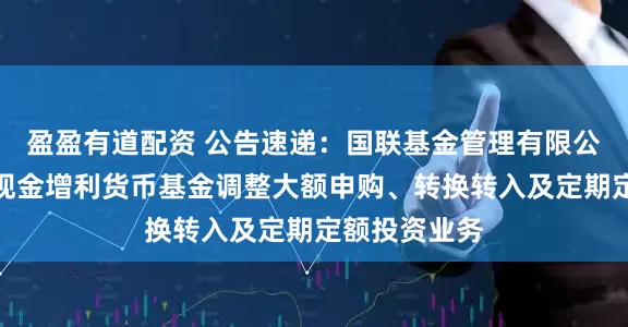 盈盈有道配资 公告速递：国联基金管理有限公司关于国联现金增利货币基金调整大额申购、转换转入及定期定额投资业务