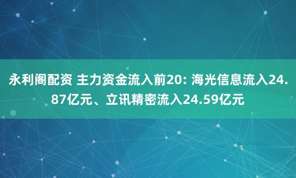 永利阁配资 主力资金流入前20: 海光信息流入24.87亿元、立讯精密流入24.59亿元